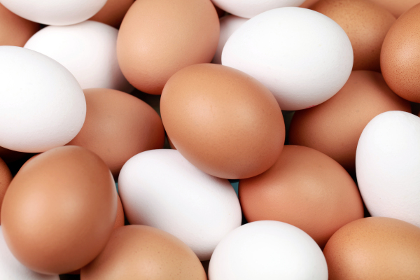Weiße und braune Eier